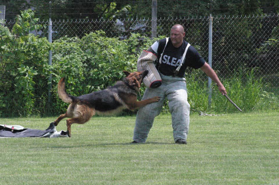 Dozer in training
